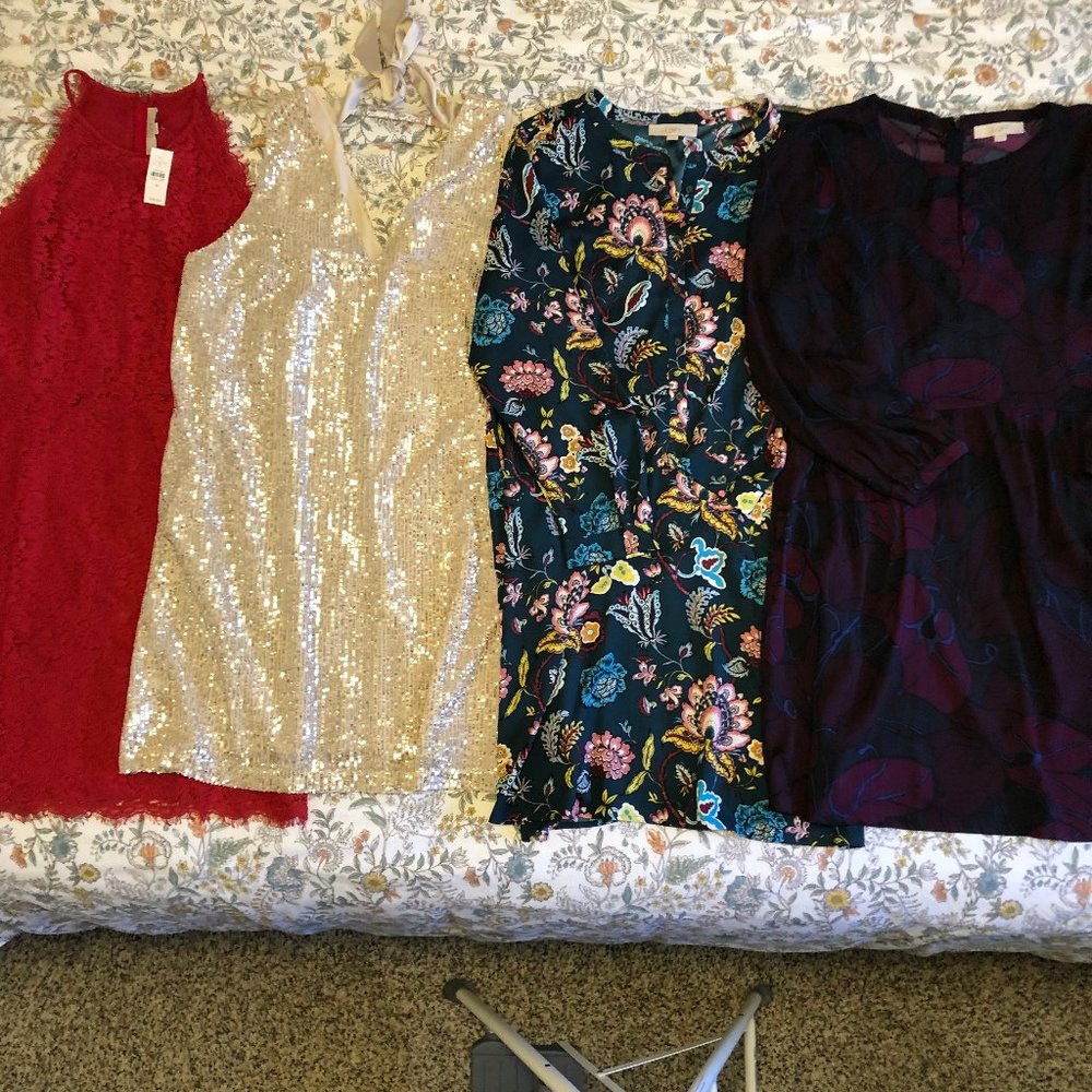 Bundle 4 Dresses - LOFT NWT/EUC (Size 18)